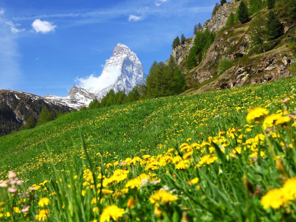 Apartment Imperial-5 By Interhome Zermatt Luaran gambar